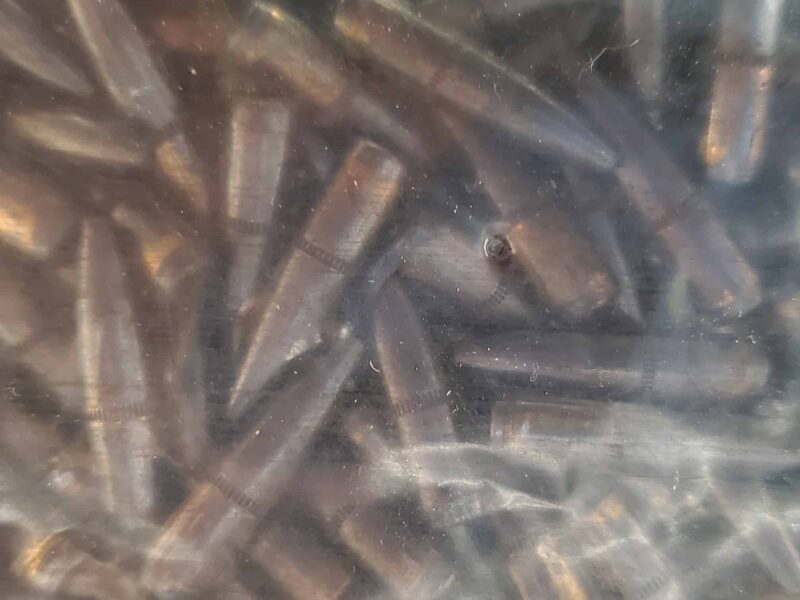 .243 (6mm) 95 Gr. Federal Fusion Soft Point Boat Tail Bullets *PULLED* - Image 2