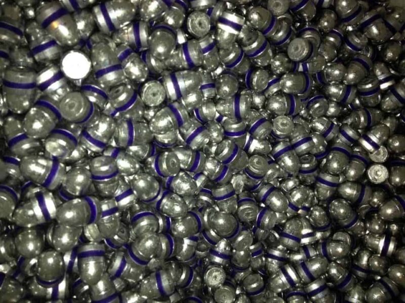 .45 230 Grain Rocky Mountain ThunderCast RN