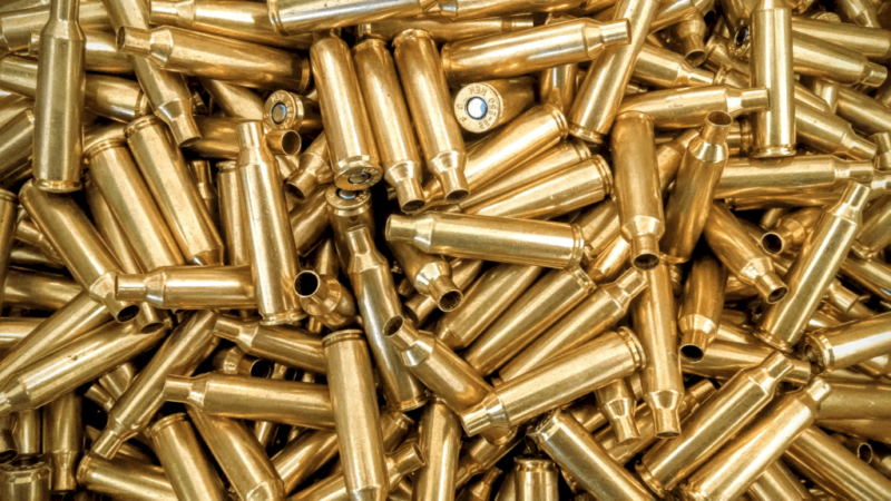 .22-250 Remington Winchester Brass Primed Cases #2 *Pulled*