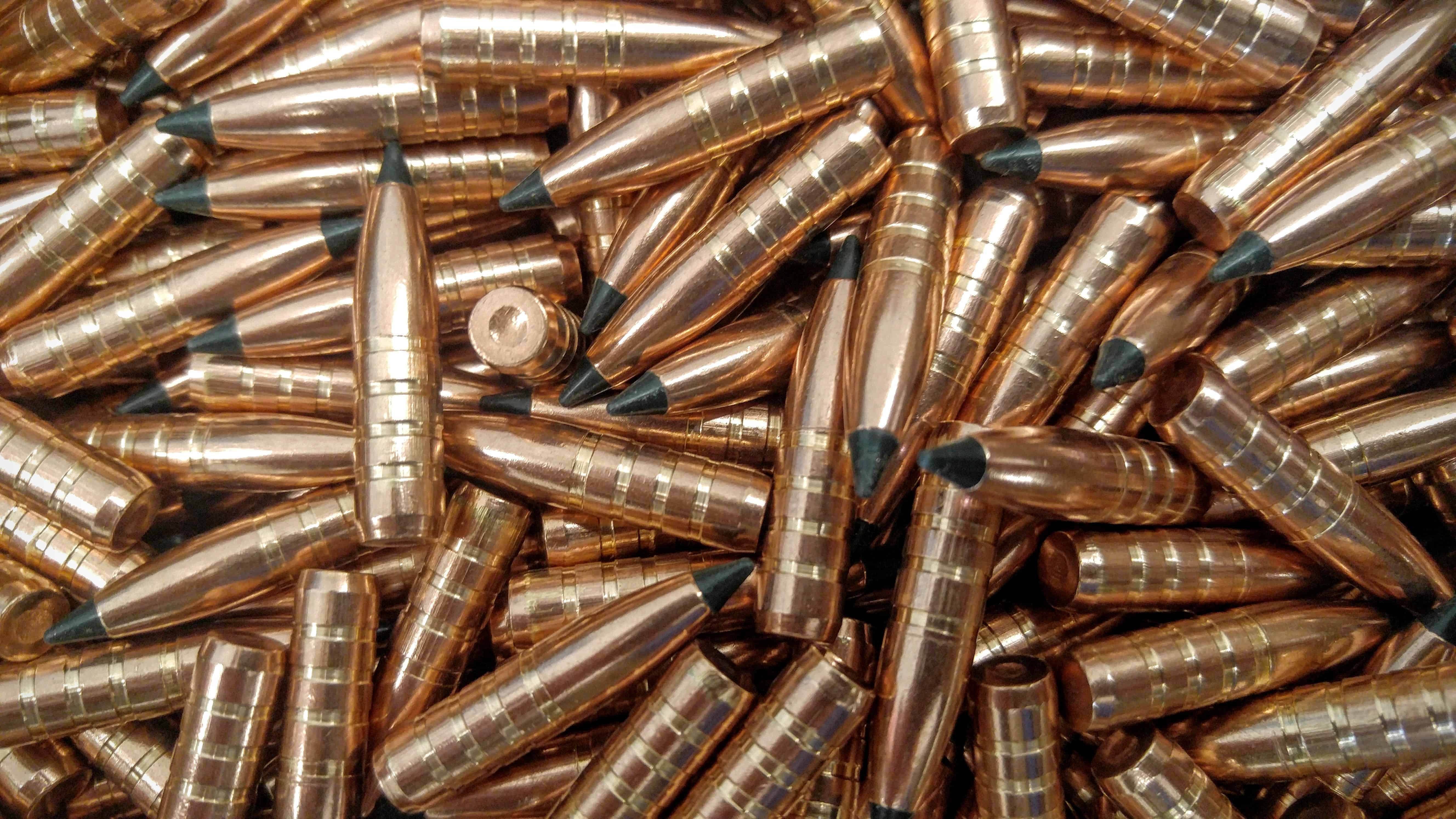270 130 Fed Trophy Copper Tipped Pld RMR Bullets