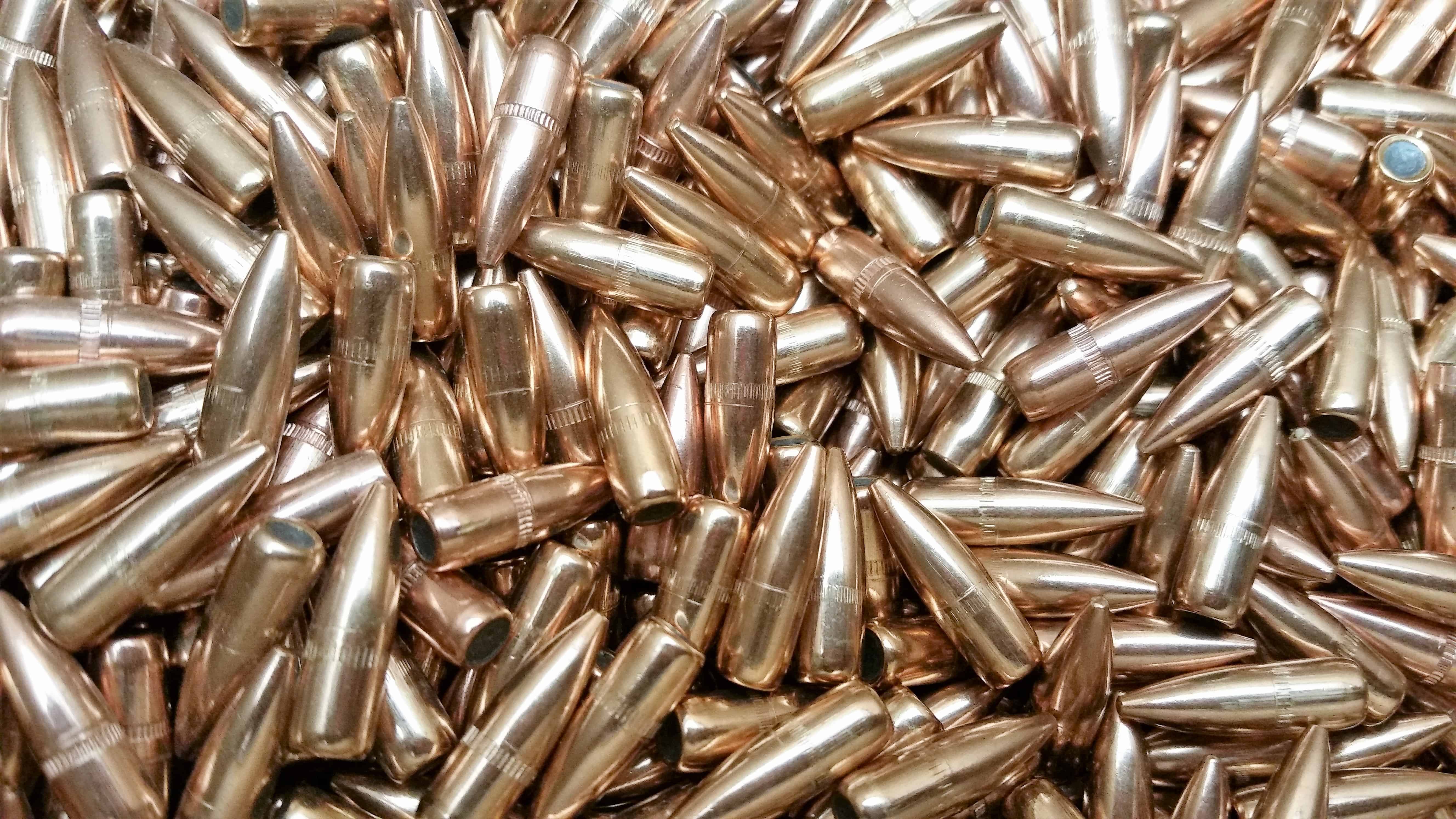 224 55 Gr FMJ Pld. | RMR Bullets