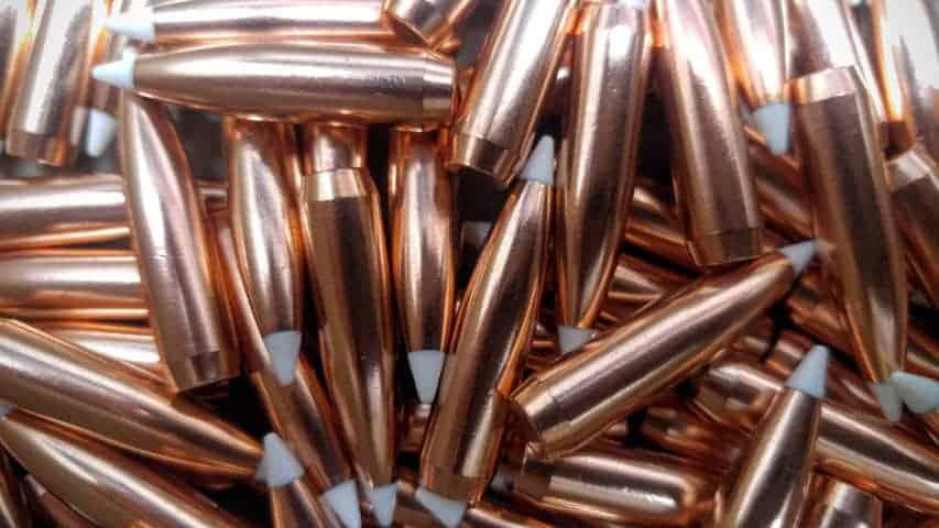 .308 180 Gr. Nosler Accubond Poly-Tipped Boat Tail Bullets *NEW*