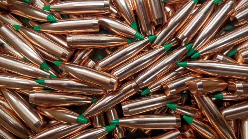 .308 180 Gr. Nosler Ballistic Tip Boat Tail Bullets *NEW*