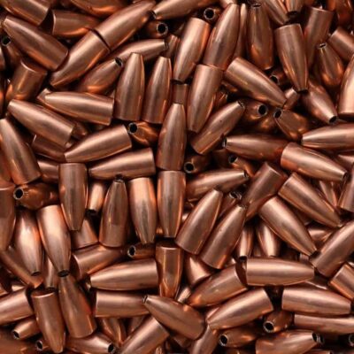 .224 34 Gr. Nosler Flat Base Hollow Point *New*