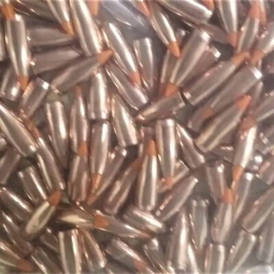 .224 40 Gr. Nosler Ballistic Tip Varmint Bullets *NEW*