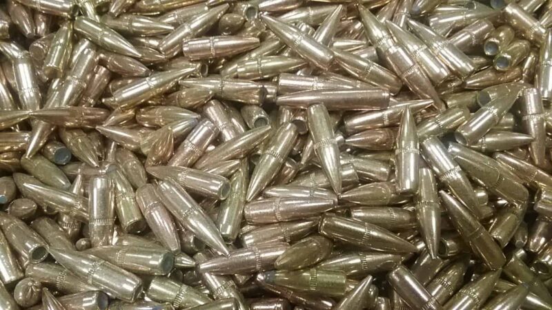 .224 (5.56) Grab Bag SS109 Bullets *PULLED*