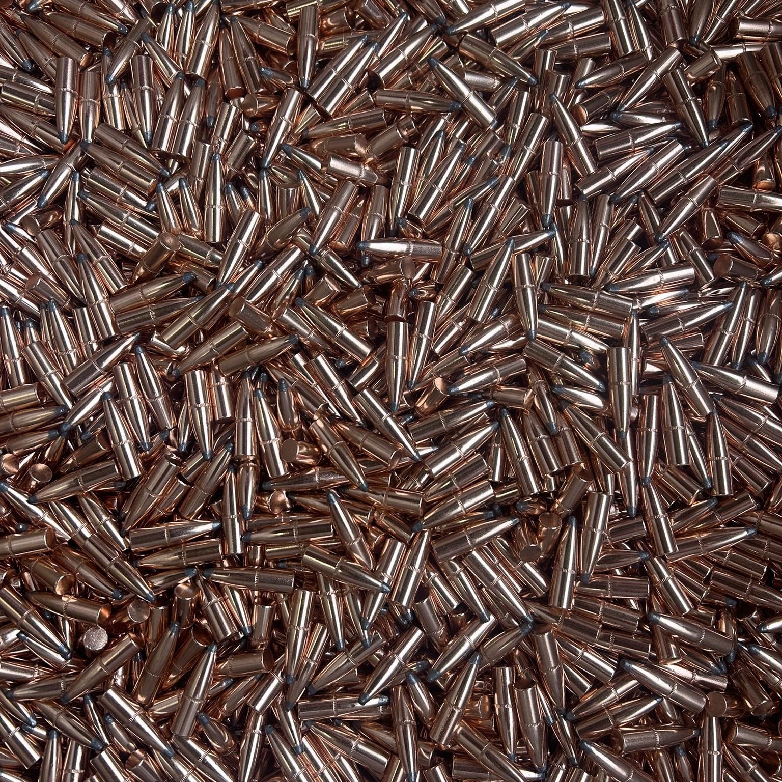 .308 180 Gr. Flat Base Soft Point Bullets 2nds