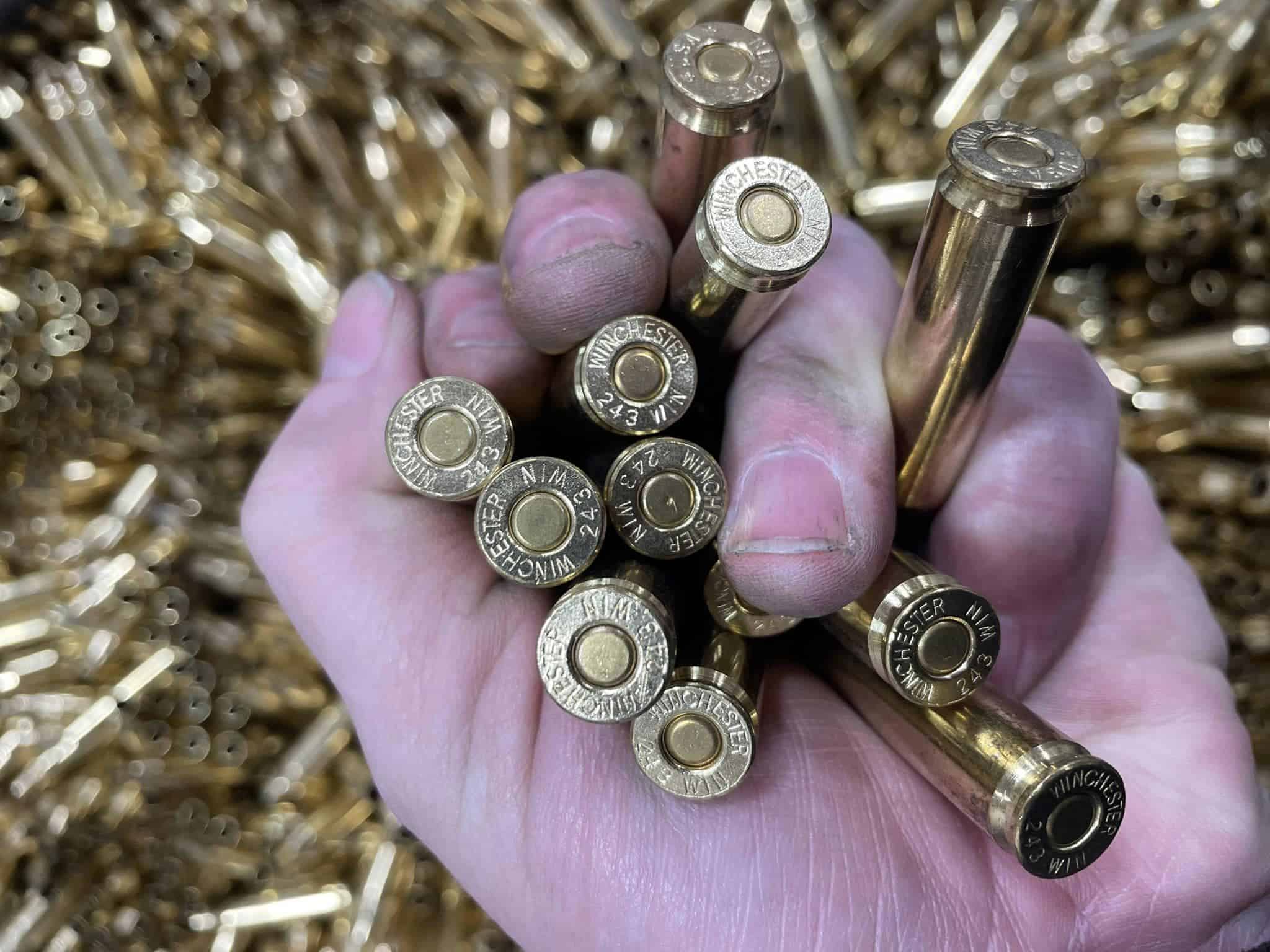 .243 Win Winchester Cartridge Brass Primed Cases #2 *PULLED*